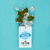 Menthe glaciale